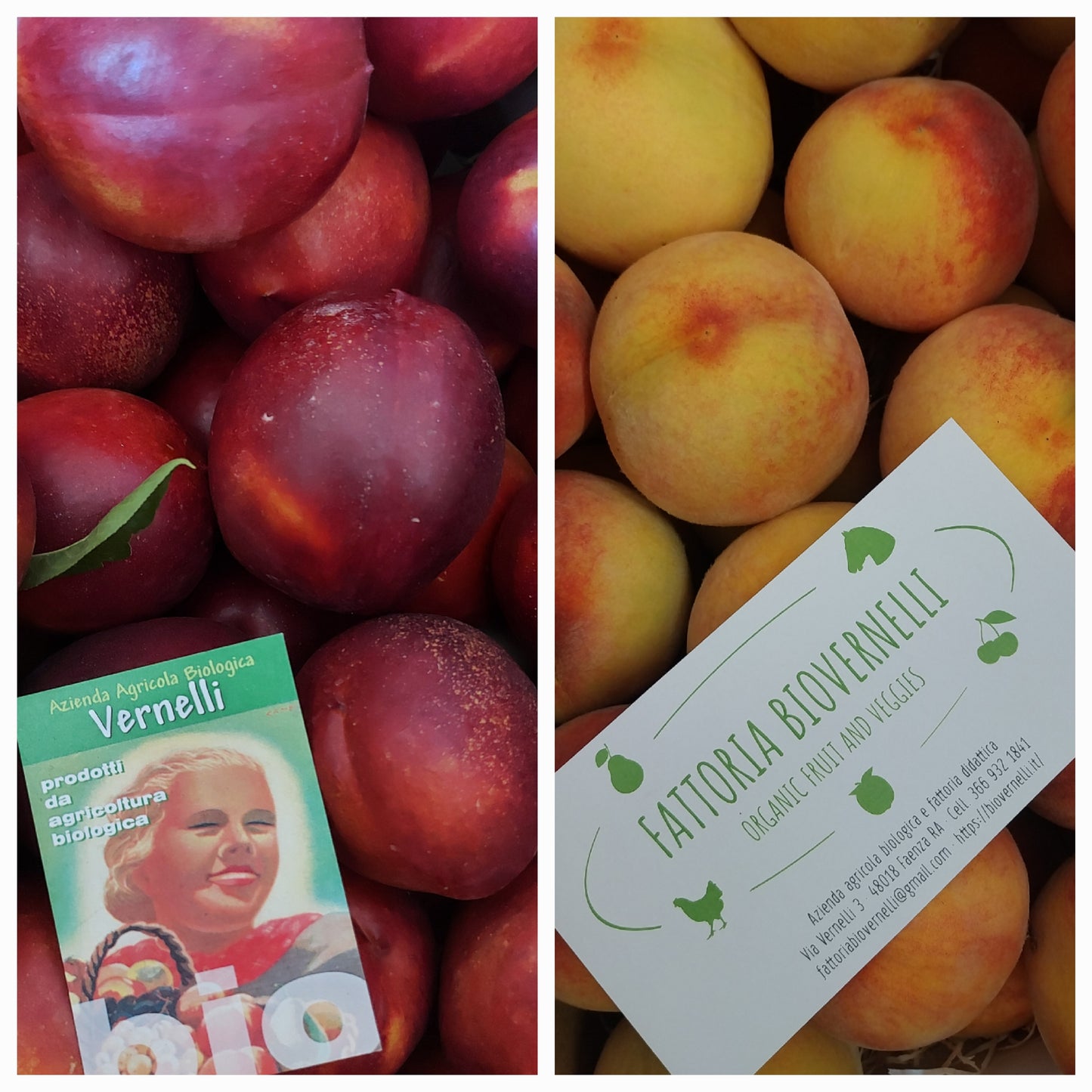 Scatola mista - Percoche e nettarine gialle Bio Kg 8 - € 34,90 spedizione gratuita