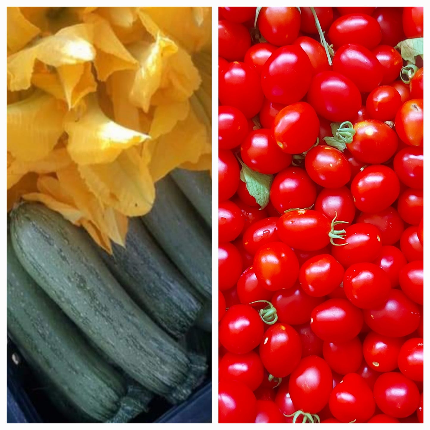 Scatola mista pomodori ciliegini e zucchine bio - € 30,00 spedizione gratuita