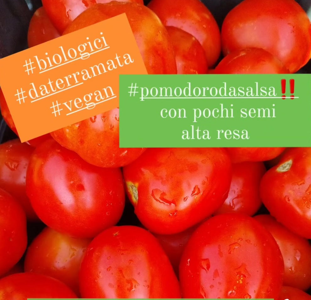 POMODORI BIO da salsa Kg 7 - € 19,90 spedizione compresa