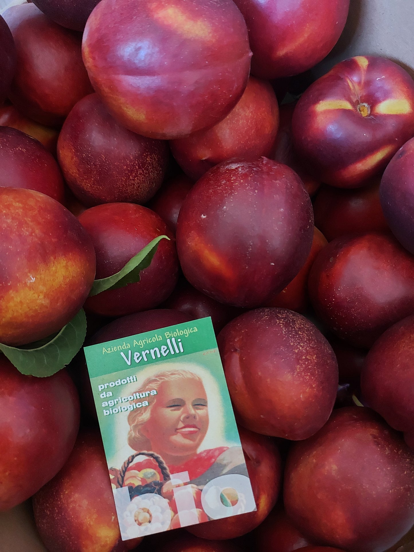 Nettarine gialle dolci Big Top biologiche Kg 7,5 - € 32,90 spedizione gratuita