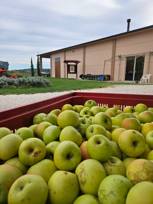 Mele Biologiche Esmeralda Invernali Kg 7 - € 30,00 Spedizione gratuita